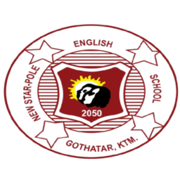 New Star Pole School Logo